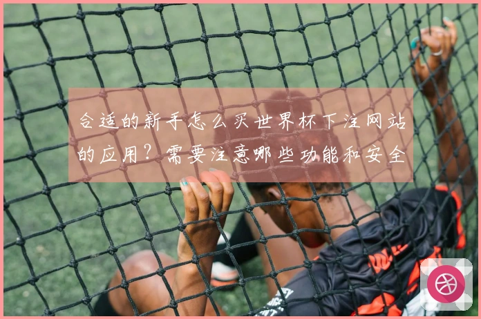 合适的新手怎么买世界杯下注网站的应用？需要注意哪些功能和安全性？