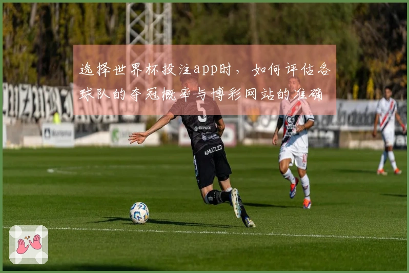 选择世界杯投注app时，如何评估各球队的夺冠概率与博彩网站的准确性？