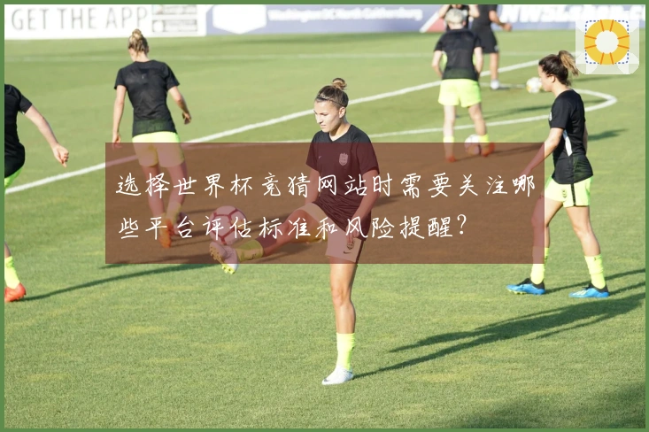 选择世界杯竞猜网站时需要关注哪些平台评估标准和风险提醒？