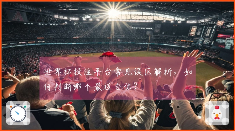 世界杯投注平台常见误区解析，如何判断哪个最适合你？