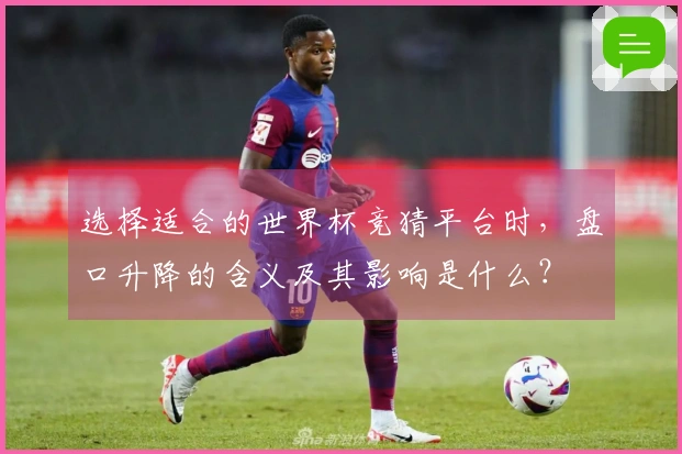 选择适合的世界杯竞猜平台时，盘口升降的含义及其影响是什么？
