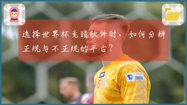 选择世界杯竞猜软件时，如何分辨正规与不正规的平台？