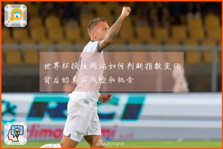 世界杯投注网站如何判断指数变化背后的真实风险和机会