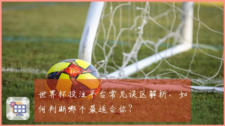 世界杯投注平台常见误区解析，如何判断哪个最适合你？