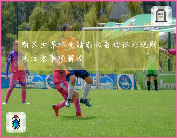 购买世界杯竞猜前必备的体彩规则及注意事项解读