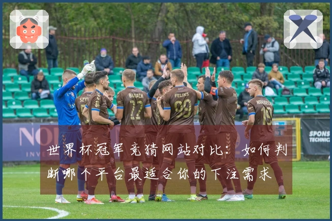 世界杯冠军竞猜网站对比：如何判断哪个平台最适合你的下注需求