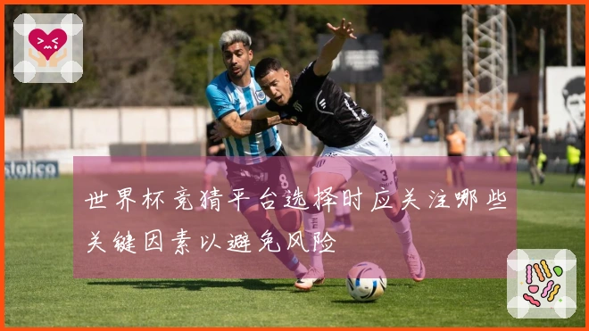世界杯竞猜平台选择时应关注哪些关键因素以避免风险