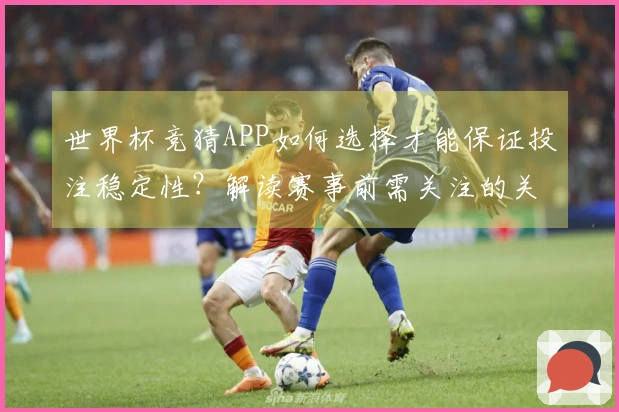 世界杯竞猜APP如何选择才能保证投注稳定性？解读赛事前需关注的关键因素