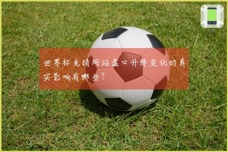 世界杯竞猜网站盘口升降变化的真实影响有哪些？