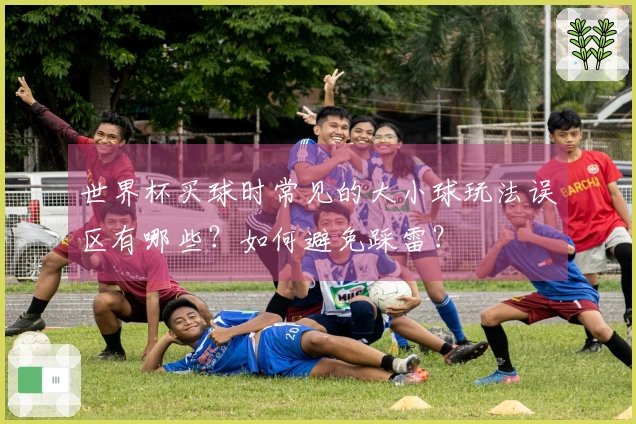 世界杯买球时常见的大小球玩法误区有哪些？如何避免踩雷？