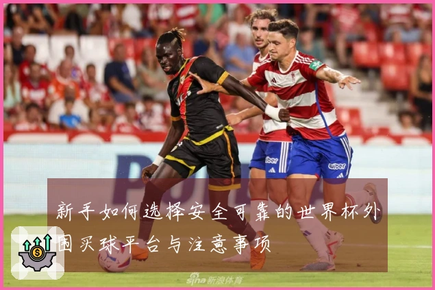 新手如何选择安全可靠的世界杯外围买球平台与注意事项