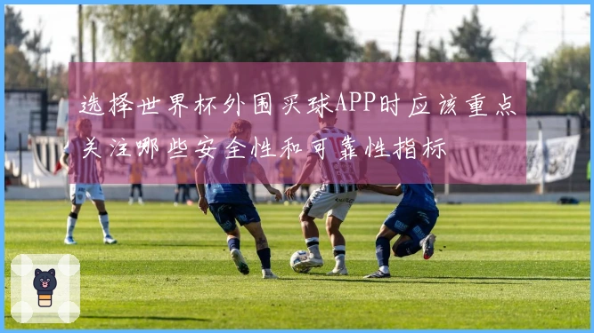 选择世界杯外围买球APP时应该重点关注哪些安全性和可靠性指标