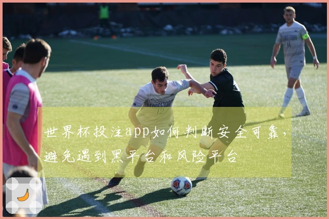 世界杯投注app如何判断安全可靠，避免遇到黑平台和风险平台
