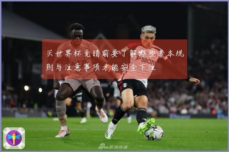 买世界杯竞猜前要了解哪些基本规则与注意事项才能安全下注