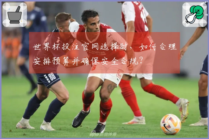 世界杯投注官网选择时，如何合理安排预算并确保安全合规？
