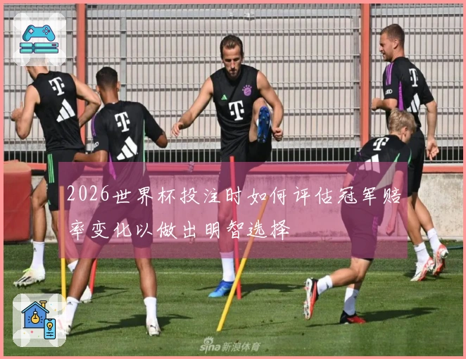 2026世界杯投注时如何评估冠军赔率变化以做出明智选择