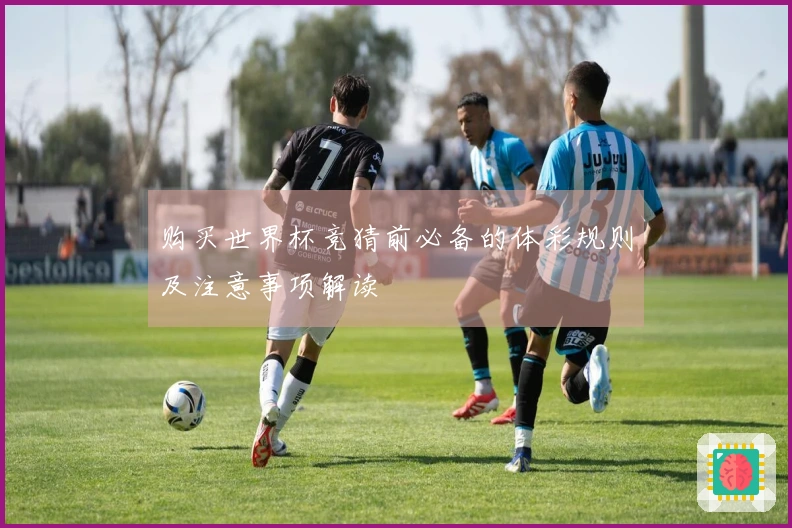 购买世界杯竞猜前必备的体彩规则及注意事项解读