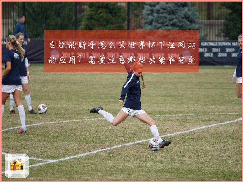 合适的新手怎么买世界杯下注网站的应用？需要注意哪些功能和安全性？