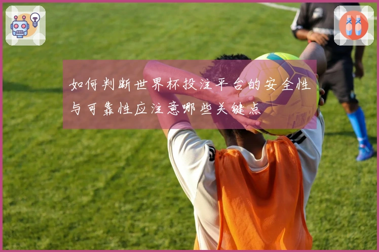 如何判断世界杯投注平台的安全性与可靠性应注意哪些关键点