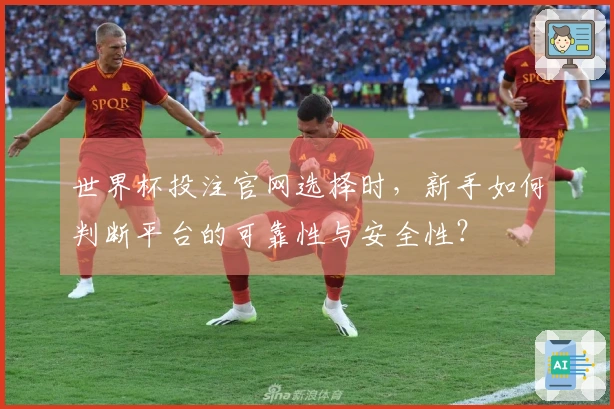 世界杯投注官网选择时，新手如何判断平台的可靠性与安全性？