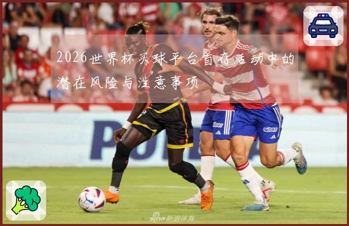 2026世界杯买球平台首存活动中的潜在风险与注意事项
