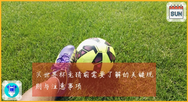 买世界杯竞猜前需要了解的关键规则与注意事项
