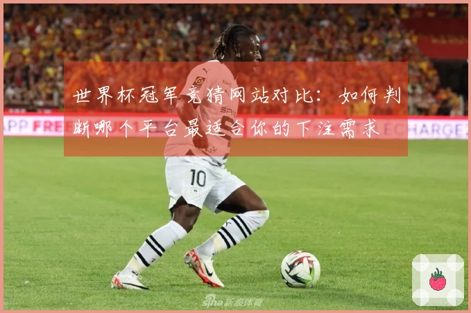 世界杯冠军竞猜网站对比：如何判断哪个平台最适合你的下注需求