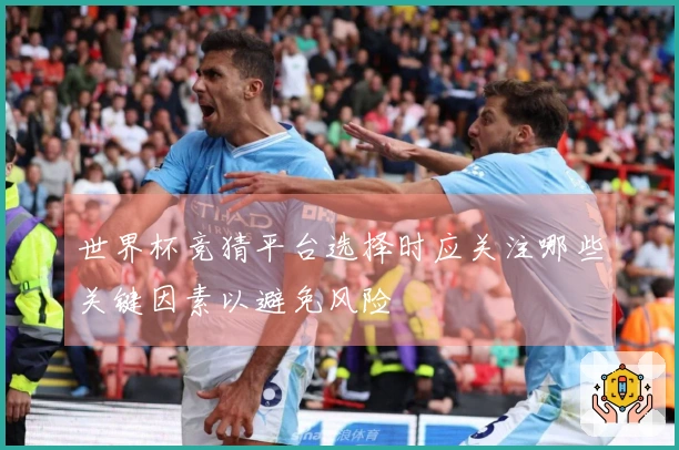 世界杯竞猜平台选择时应关注哪些关键因素以避免风险
