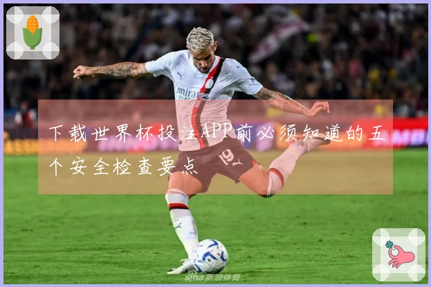下载世界杯投注APP前必须知道的五个安全检查要点
