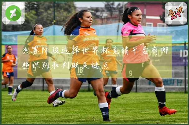 决赛阶段选择世界杯竞猜平台有哪些识别和判断关键点
