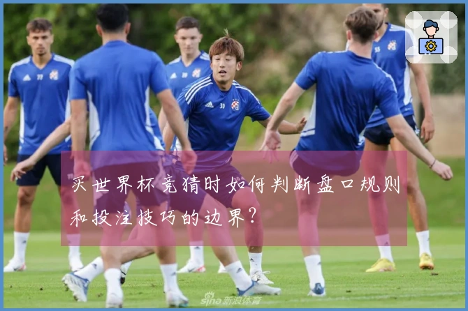 买世界杯竞猜时如何判断盘口规则和投注技巧的边界？