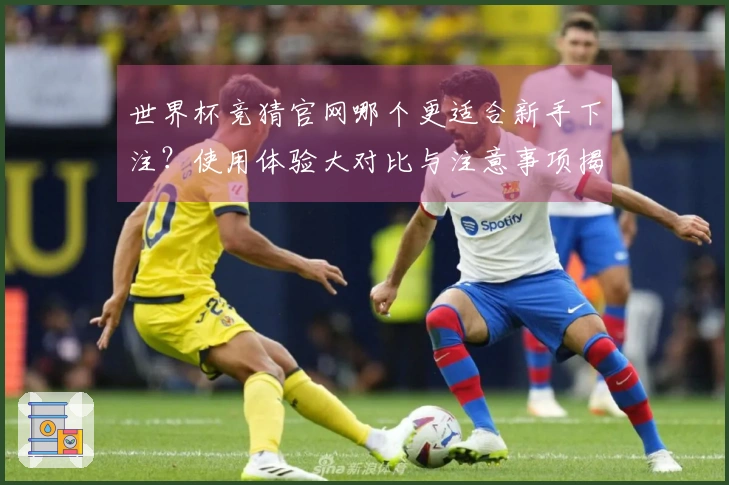 世界杯竞猜官网哪个更适合新手下注？使用体验大对比与注意事项揭秘