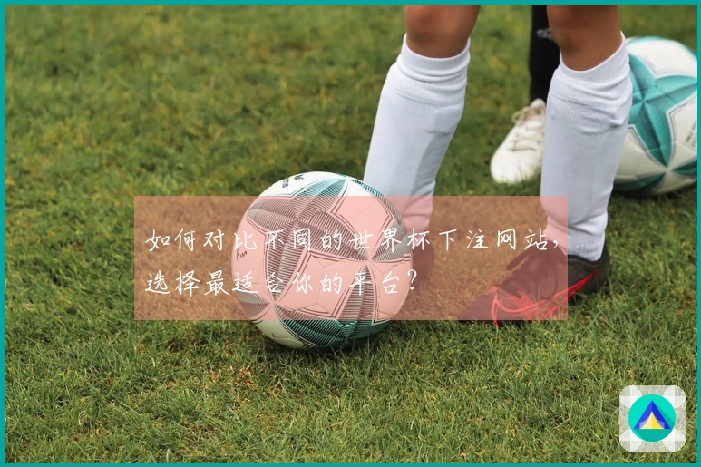 如何对比不同的世界杯下注网站，选择最适合你的平台？