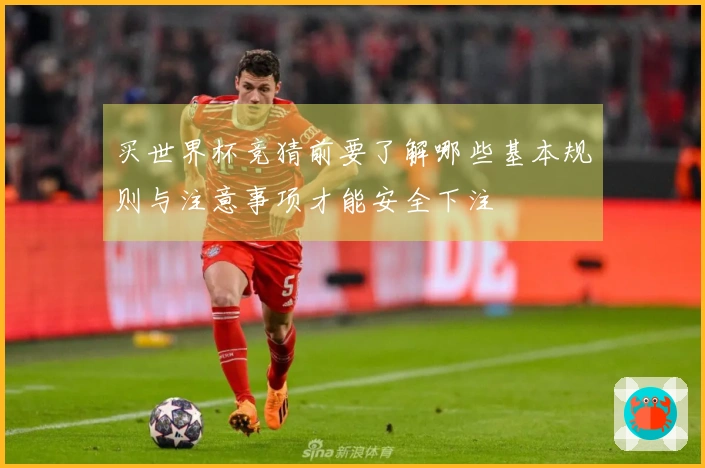 买世界杯竞猜前要了解哪些基本规则与注意事项才能安全下注