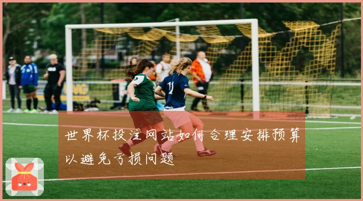 世界杯投注网站如何合理安排预算以避免亏损问题