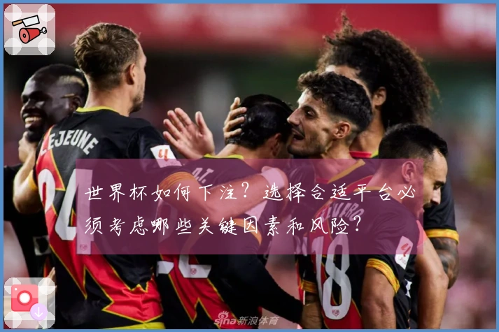 世界杯如何下注？选择合适平台必须考虑哪些关键因素和风险？