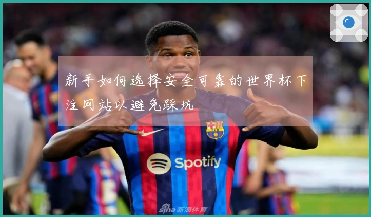 新手如何选择安全可靠的世界杯下注网站以避免踩坑