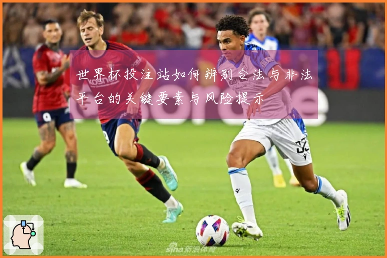 世界杯投注站如何辨别合法与非法平台的关键要素与风险提示