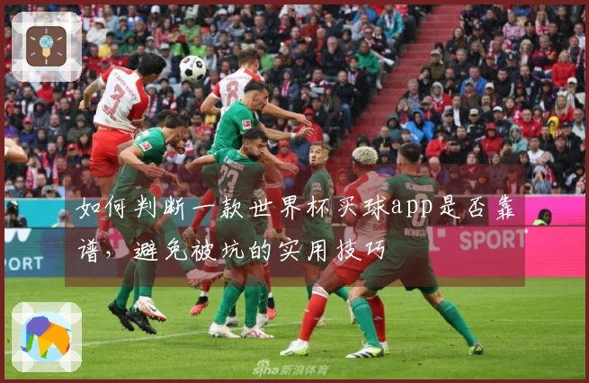 如何判断一款世界杯买球app是否靠谱，避免被坑的实用技巧