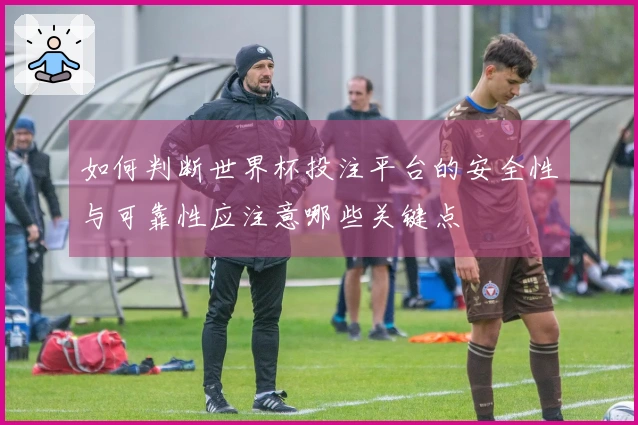 如何判断世界杯投注平台的安全性与可靠性应注意哪些关键点
