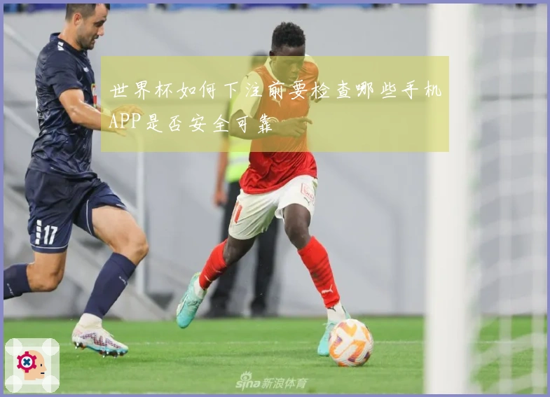 世界杯如何下注前要检查哪些手机APP是否安全可靠